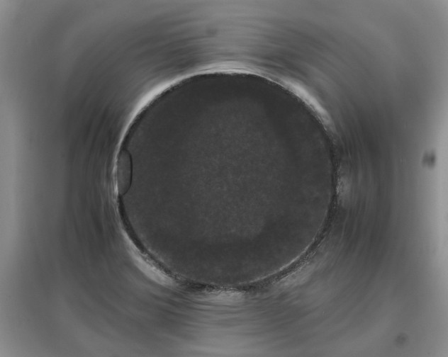 X0000097621372200803071501