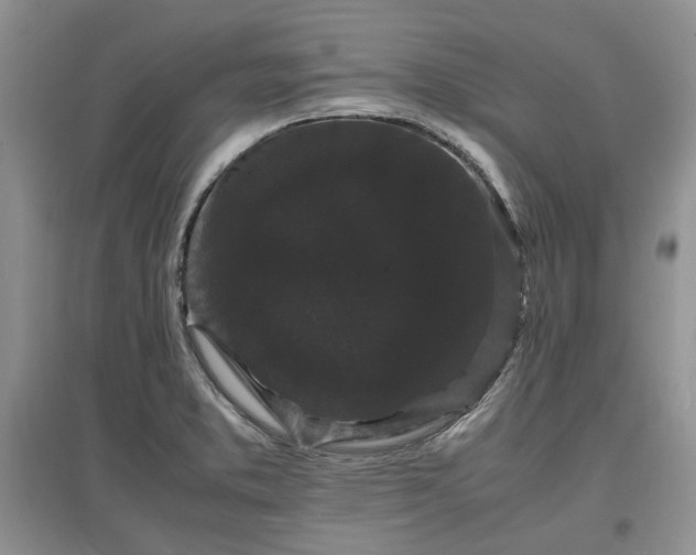 X0000097621373200803071501