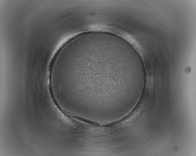 X0000097621376200803071501