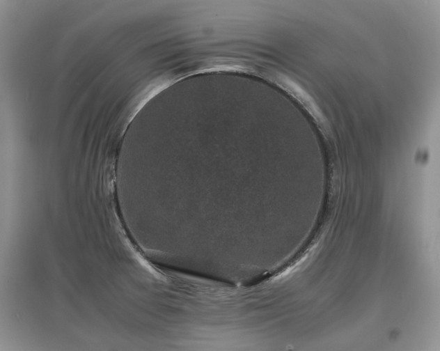 X0000097621377200803071501