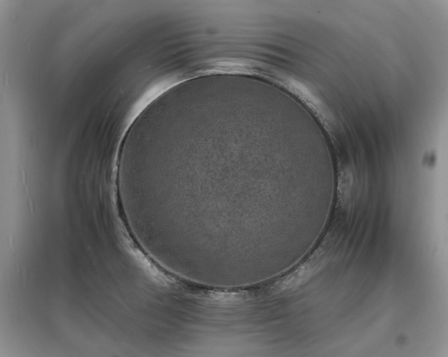 X0000097621378200803071501