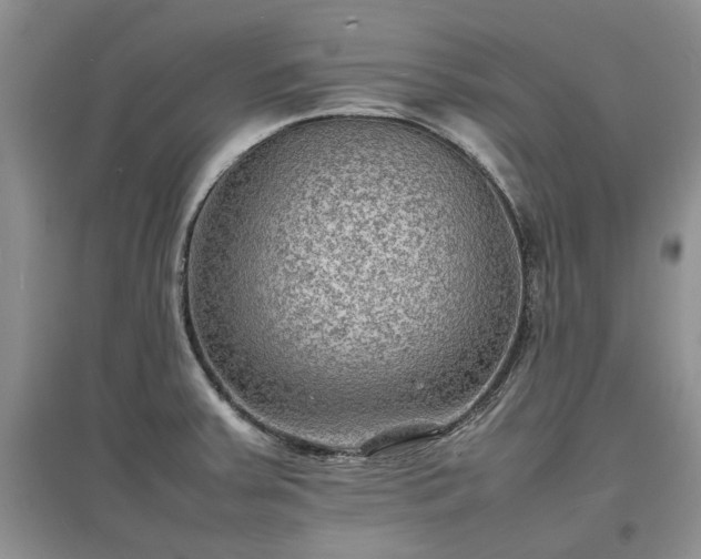 X0000097621379200803071501
