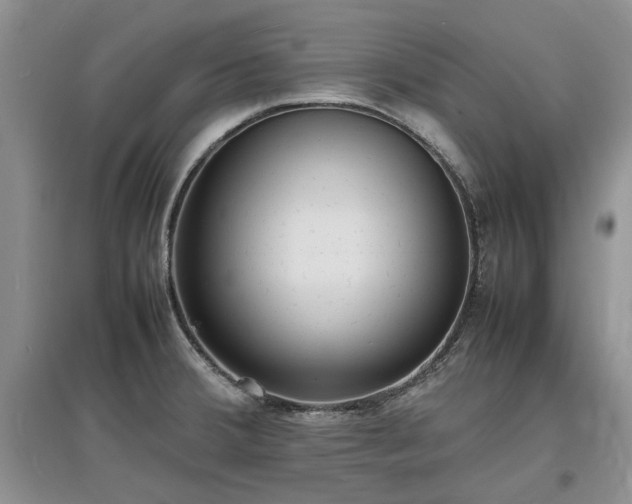 X0000097621380200803071501