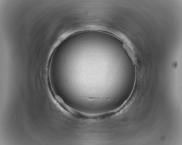 X0000097621381200803071501