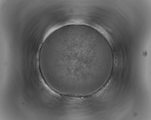 X0000097621382200803071501
