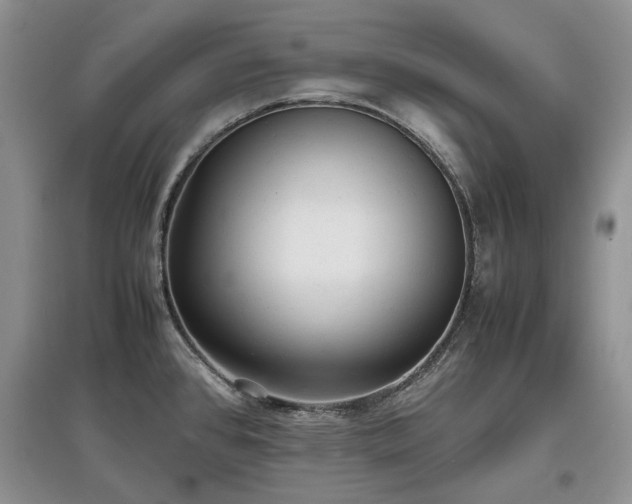 X0000097621384200803071501