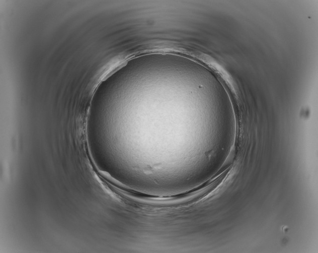 X0000097621385200803071501