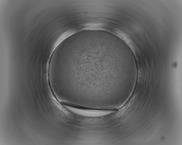 X0000097621386200803071501