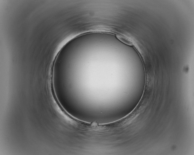 X0000097621387200803071501