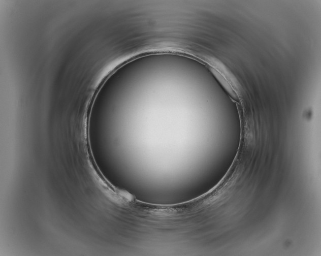 X0000097621388200803071501