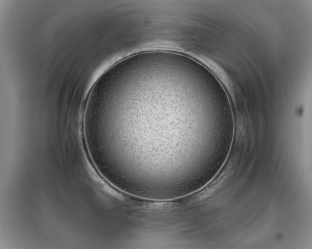 X0000097621390200803071501
