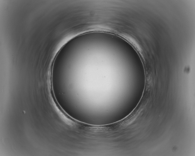 X0000097621391200803071501