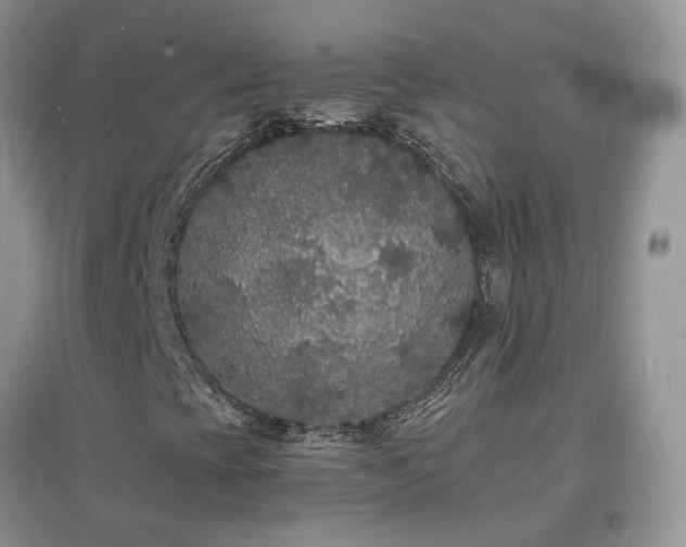 X0000097621393200803071500