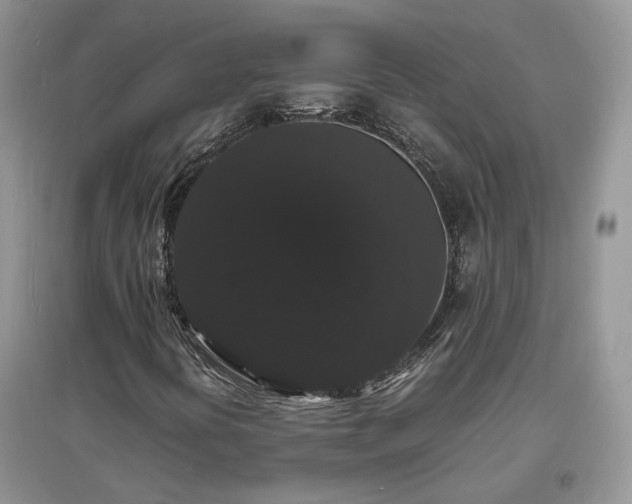 X0000097621394200803071500