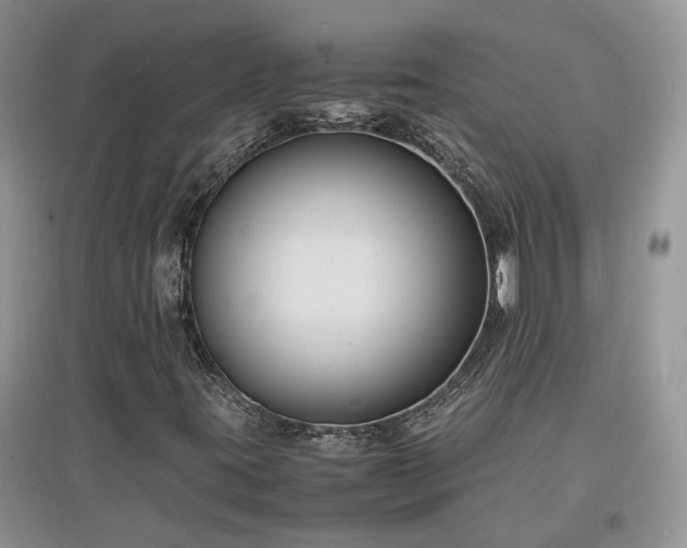 X0000097621395200803071500