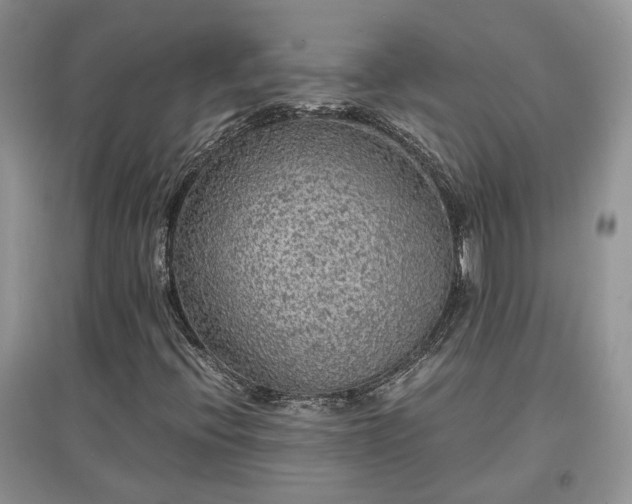 X0000097621396200803071500