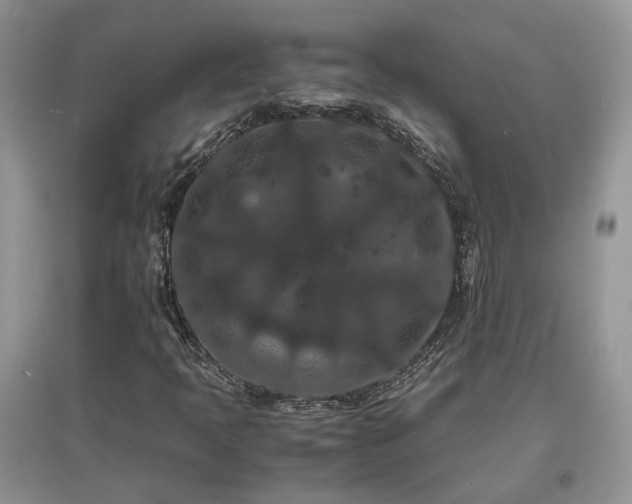X0000097621397200803071500