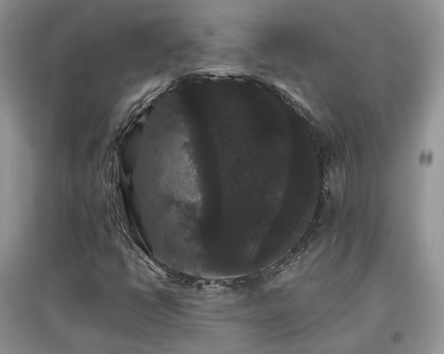 X0000097621398200803071500
