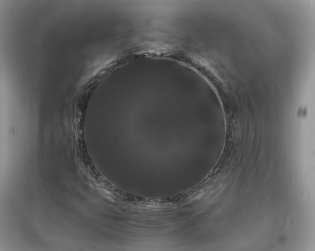 X0000097621399200803071500