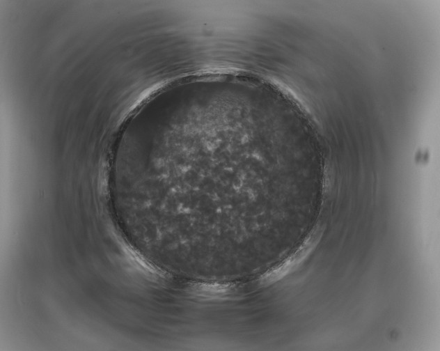 X0000097621401200803071500