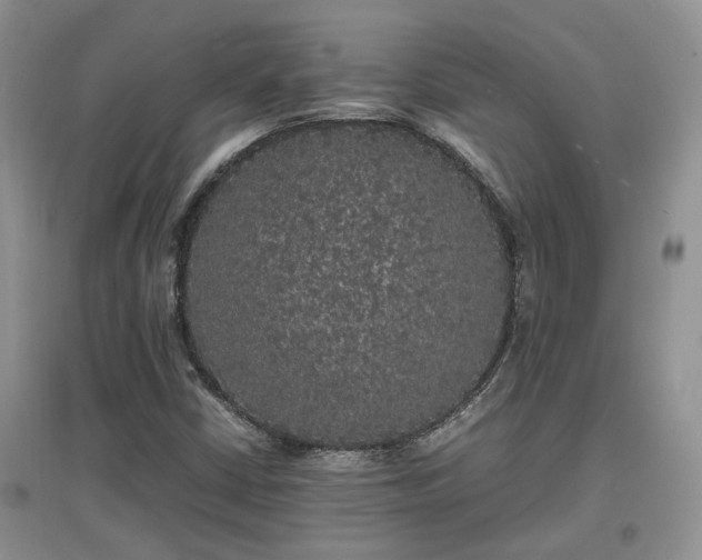 X0000097621402200803071500