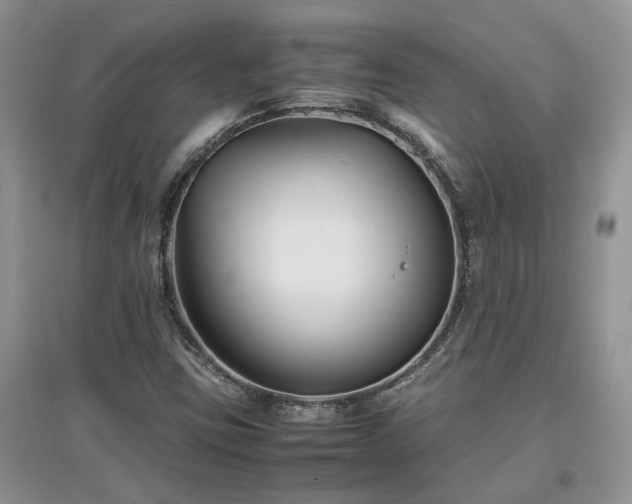 X0000097621403200803071500