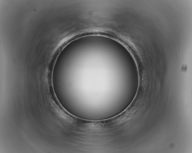 X0000097621404200803071500