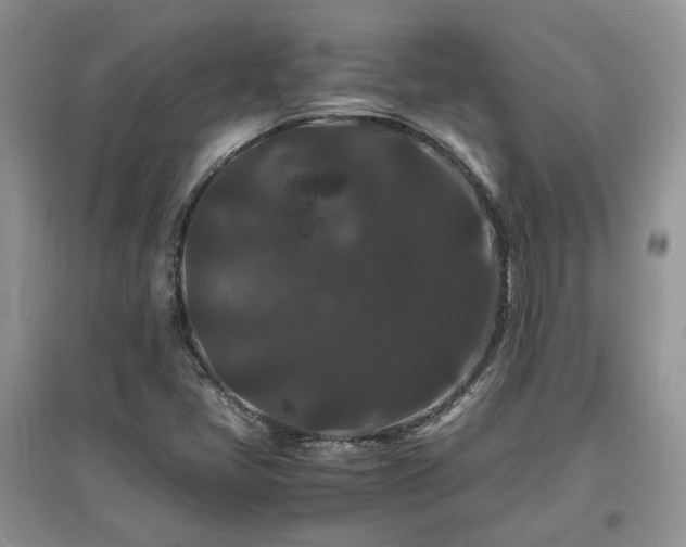 X0000097621405200803071500