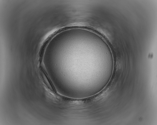 X0000097621406200803071500