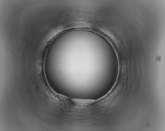 X0000097621407200803071500
