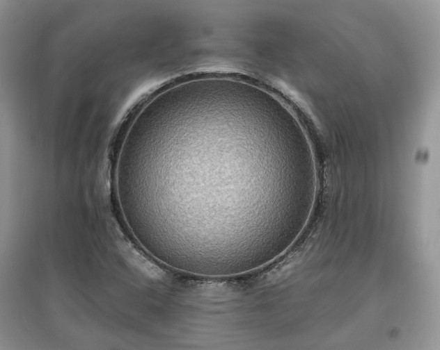 X0000097621408200803071500