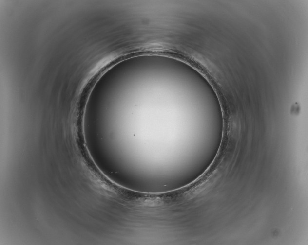 X0000097621410200803071500