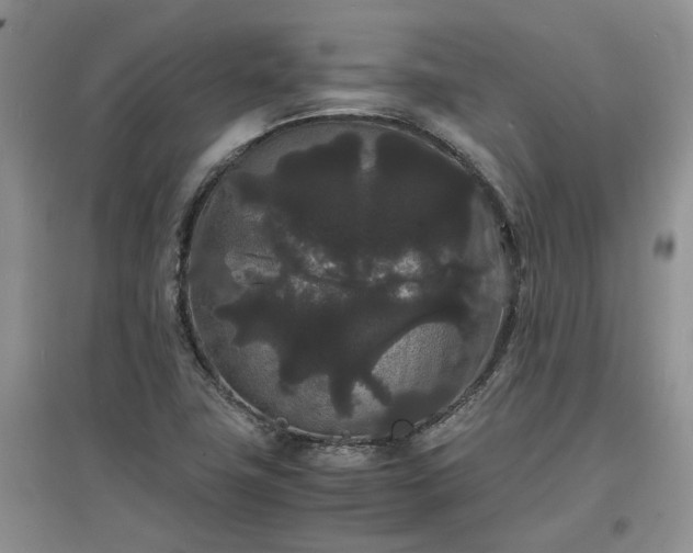 X0000097621411200803071500