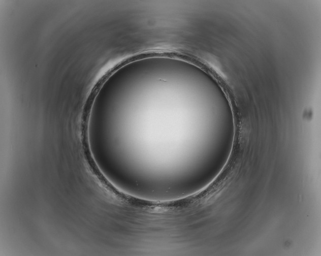 X0000097621412200803071500
