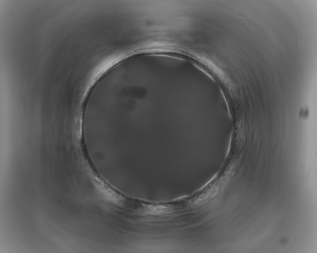 X0000097621413200803071500