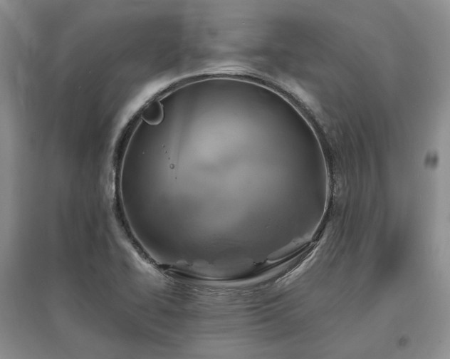 X0000097621414200803071500
