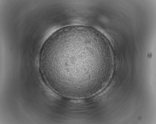X0000097621415200803071500