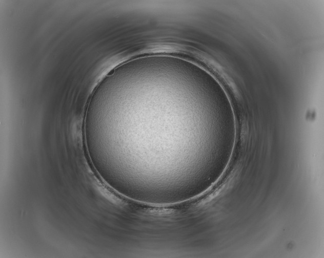 X0000097621417200803071500