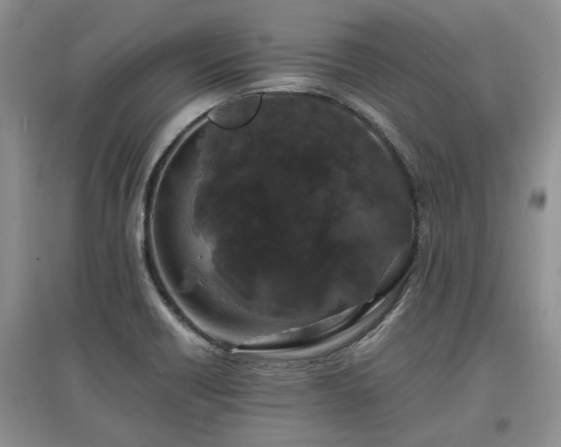 X0000097621418200803071500