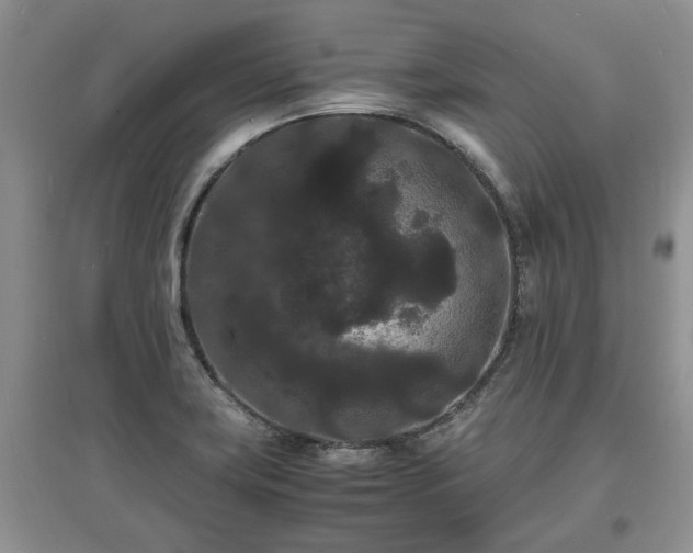 X0000097621419200803071500