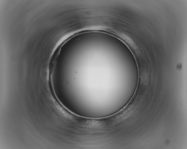 X0000097621420200803071500