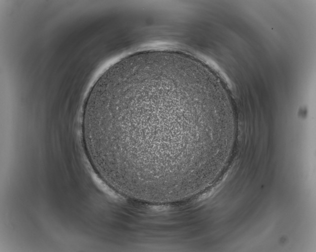 X0000097621421200803071500