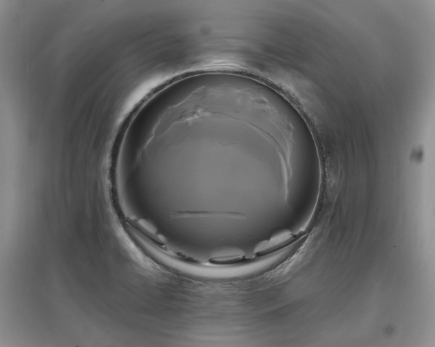 X0000097621422200803071500