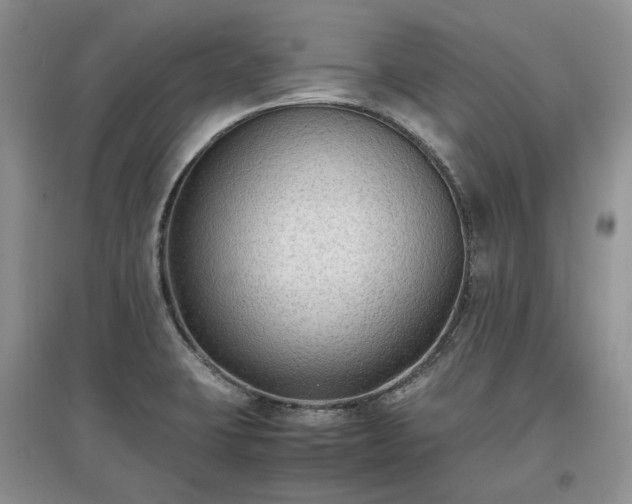 X0000097621423200803071501