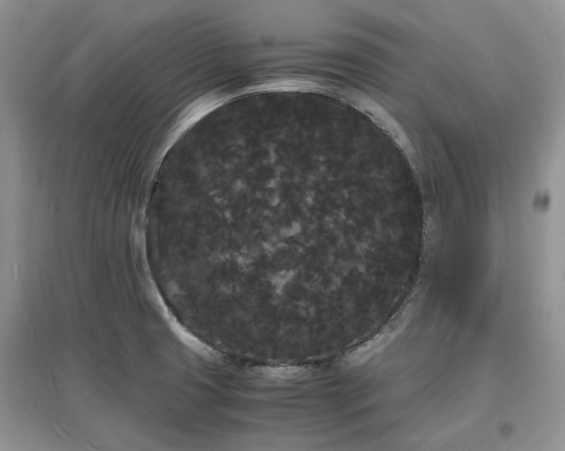 X0000097621425200803071501
