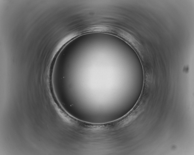 X0000097621426200803071501