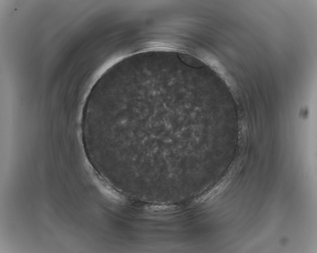 X0000097621427200803071501