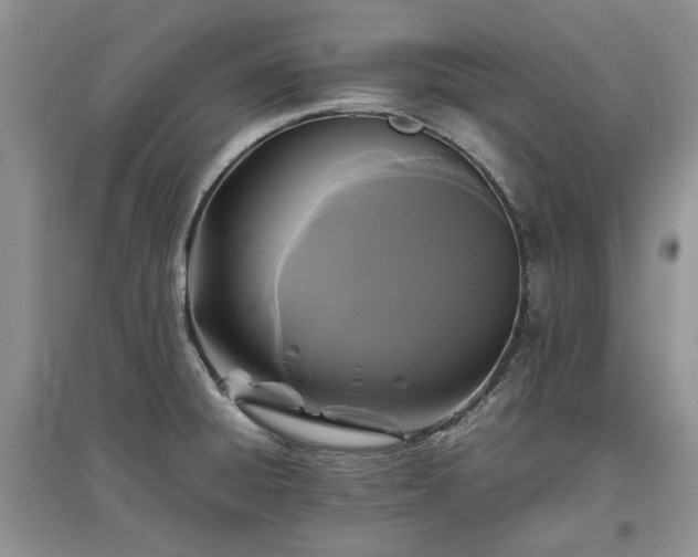 X0000097621428200803071501