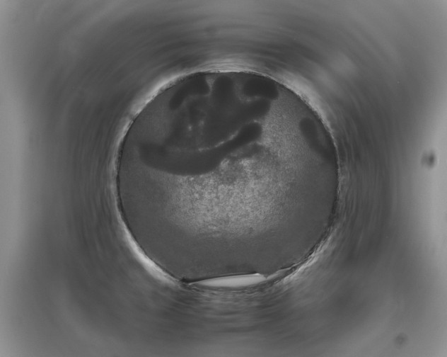 X0000097621429200803071501