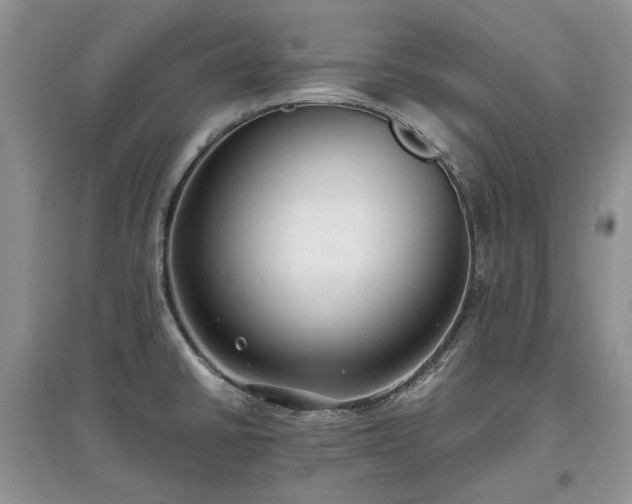 X0000097621430200803071501